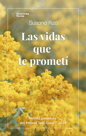 LAS VIDAS QUE TE PROMETI