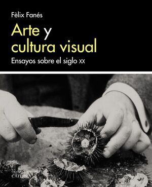 ARTE Y CULTURA VISUAL